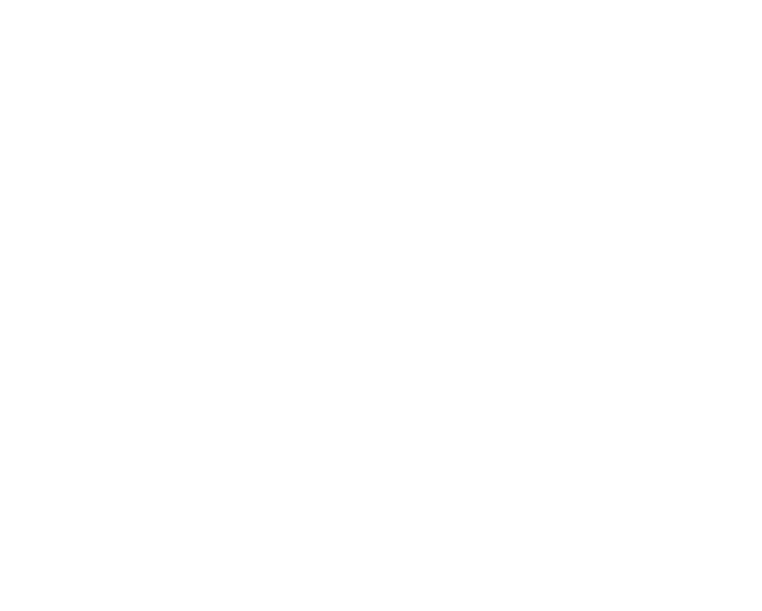 LW Triumphs Commercial Real Estate